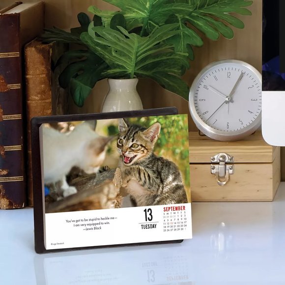 Bad Kitties 2022 Box Calendar Table Decor - Picture 2 of 4